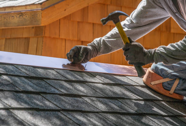 Roof Coating Services in Forest View, IL