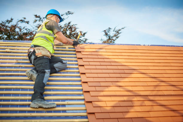 Best Rubber Roofing (EPDM, TPO)  in Forest View, IL